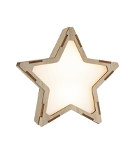 Carica l'immagine nel visualizzatore di Gallery, Lampada A Stella Personalizzata Grande