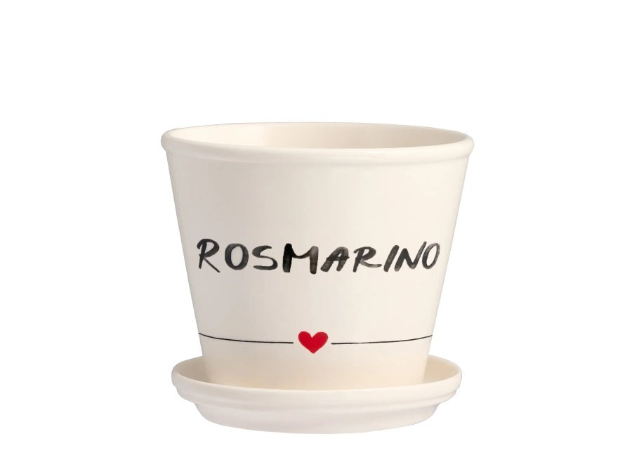 Vaso Rosmarino Con Sottovaso