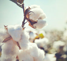 Carica l&#39;immagine nel visualizzatore di Gallery, Essenza Bucato - Nuvola di Cotone 500 ml
